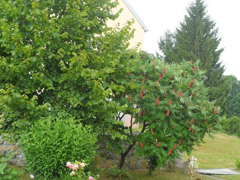 Apartment Rendulic Rakovica Zewnętrze zdjęcie